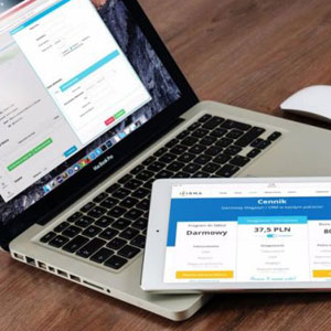 企业“新”官网建设